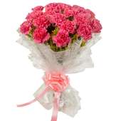 20 Pink Carnations with Close View