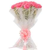 20 Pink Carnations with Front View