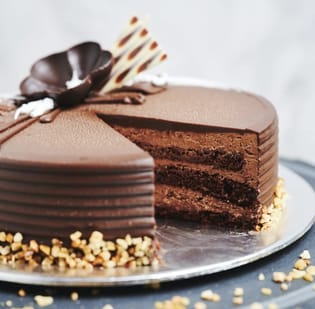 Rich Chocolate Delight