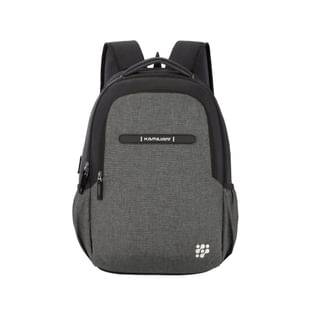 Sleek N Functional Laptop Backpack