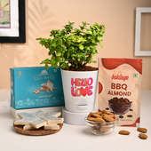 Jade Plant In Hello Love Pot With Sweets N Almonds