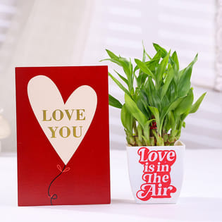 Bamboo Plant In Blossom Pot With Love You Card