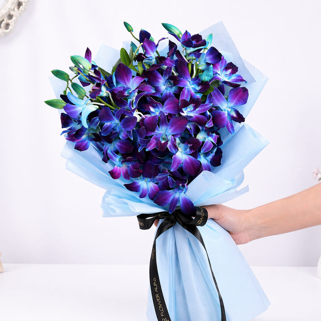 Product Image Video