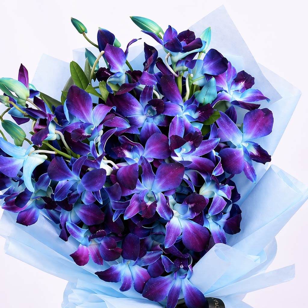 Product Image Video