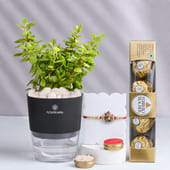 Enchanting Evil Eye Rakhi With Jade Plant