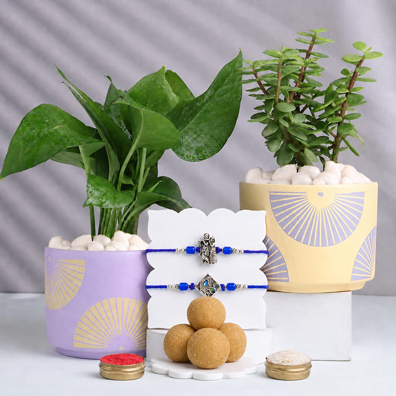 Set of 2 Geometric Floral Rakhi Combo With Money N Jade Plant