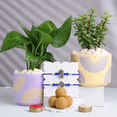 Set of 2 Geometric Floral Rakhi Combo With Money N Jade Plant
