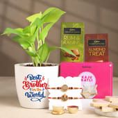 Divine Rakhi Duo With Money Plant N Sweets