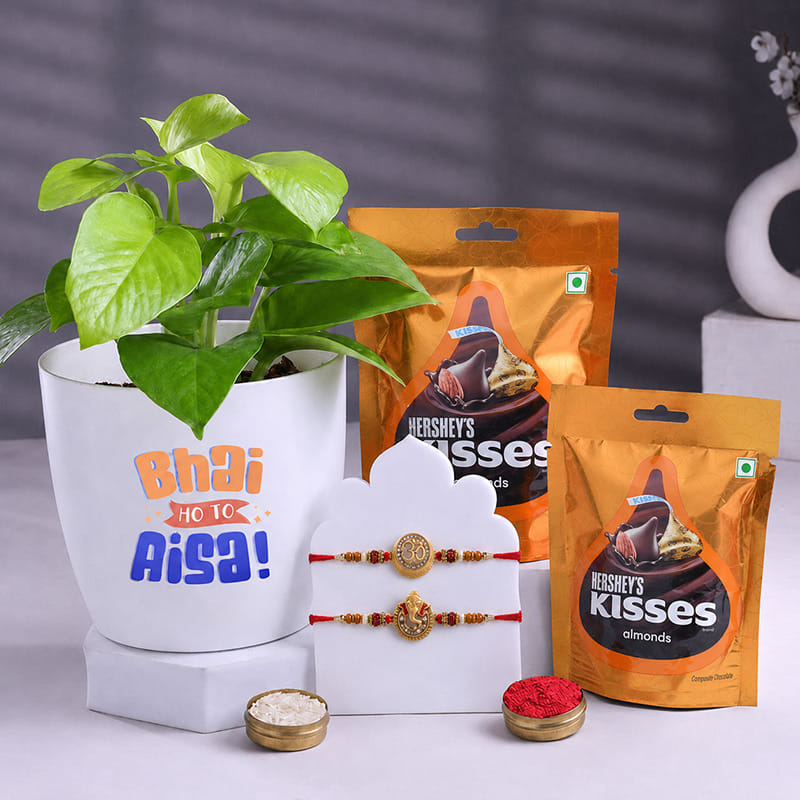 Silver Charm Rakhis Duo With Money Plant N Chocos