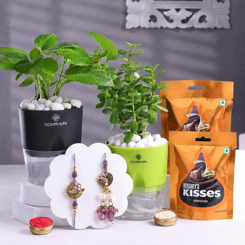 Bhai Bhabhi Rakhis With Chocos Jade N Money Plants