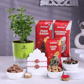 Meenakari Rakhis Duo With Jade Plant N Nuts Mix