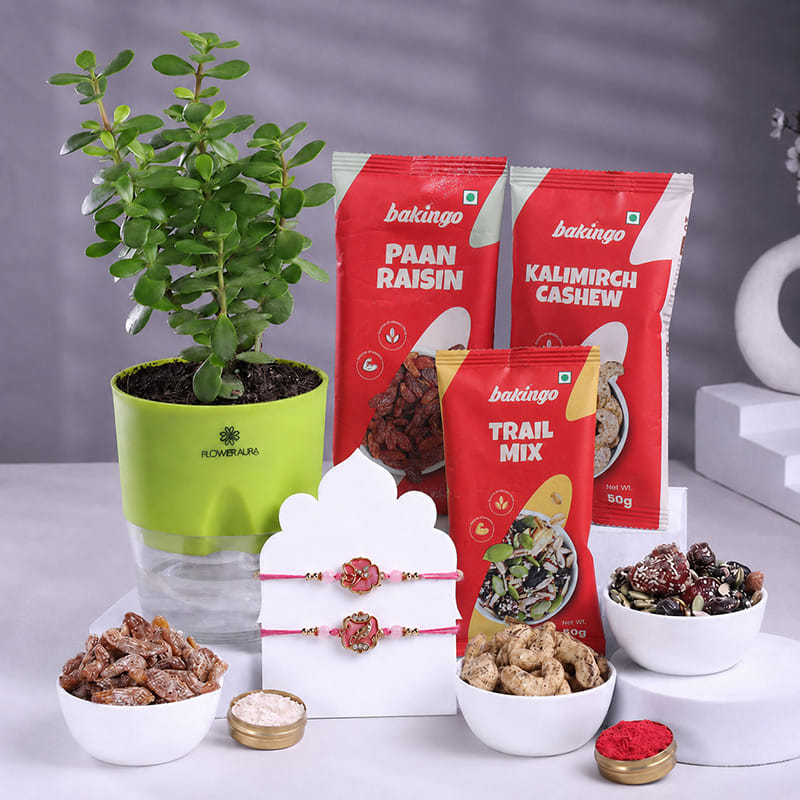 Product Image Video