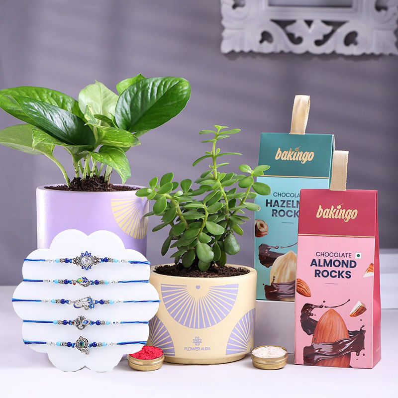 Five Fancy Rakhis With Indoor Plants N Nutty Rocks