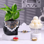Evil Eye Rakhi With Money Plant N Chocolates