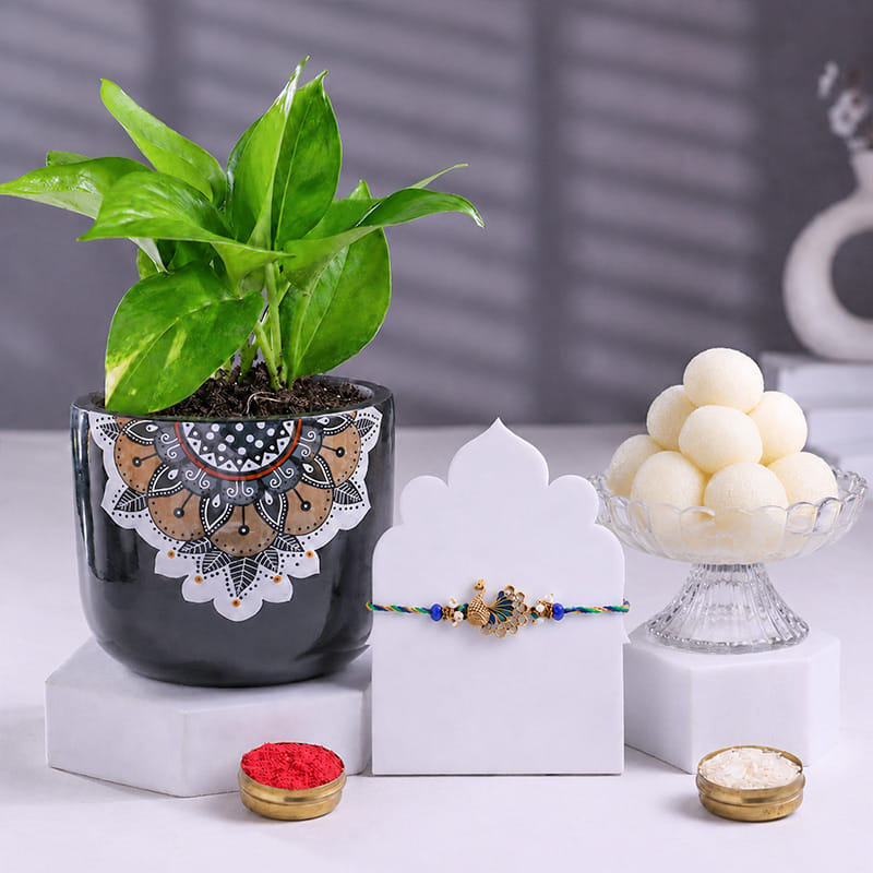 Product Image Video