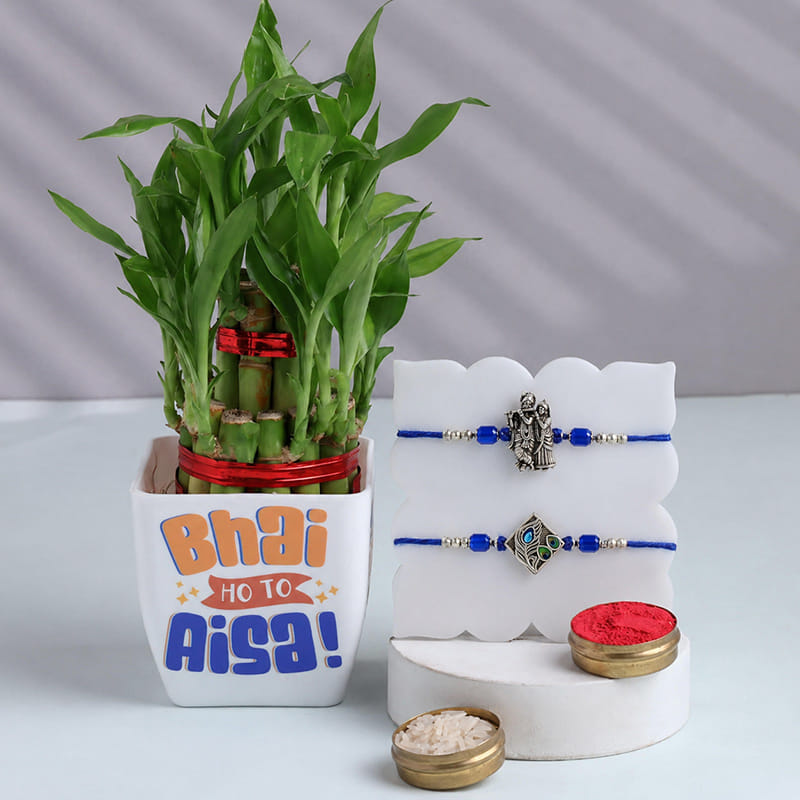 Silver Charm Rakhis Duo With Bamboo Plant