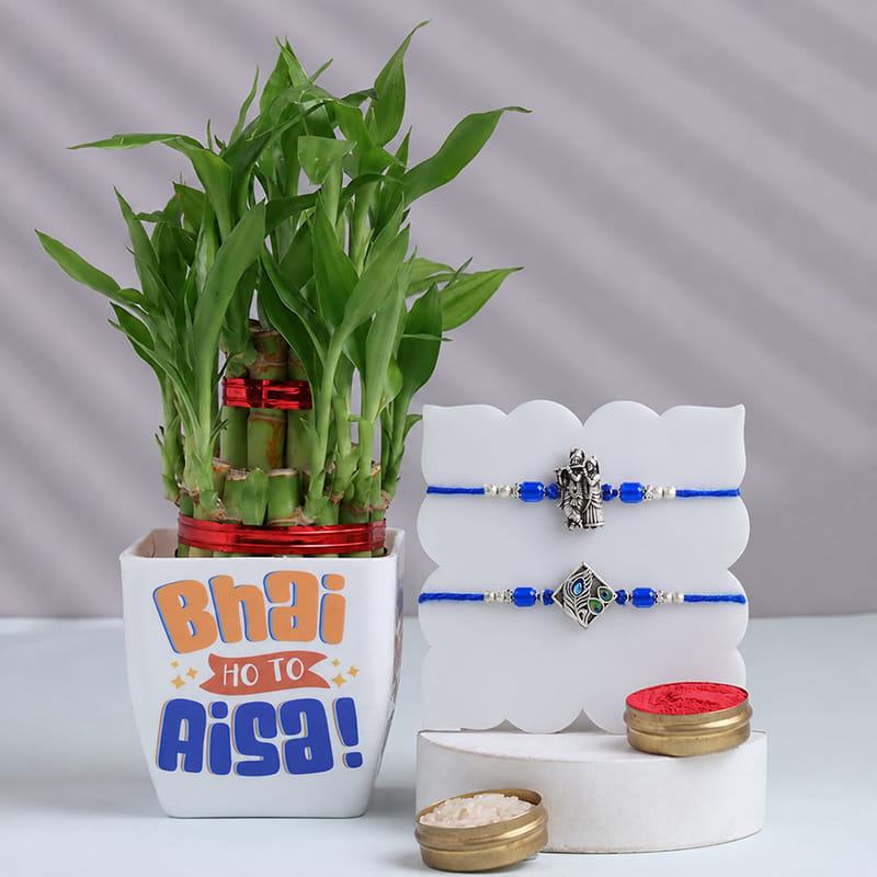 Silver Charm Rakhis Duo With Bamboo Plant