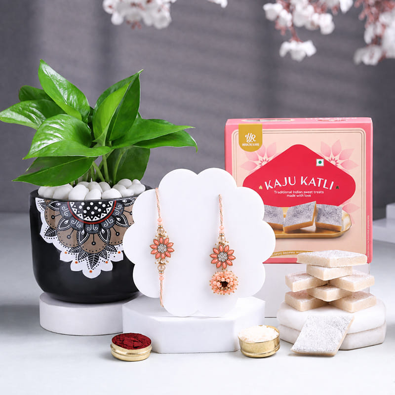 Product Image Video
