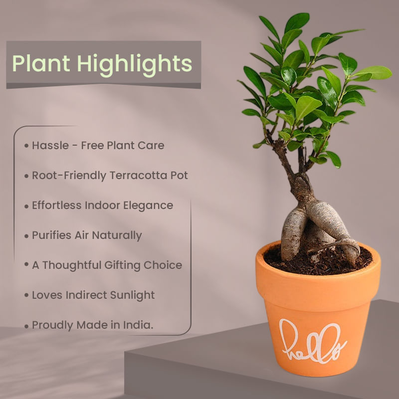 Product Image Video