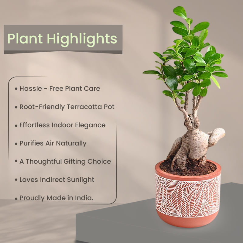 Product Image Video