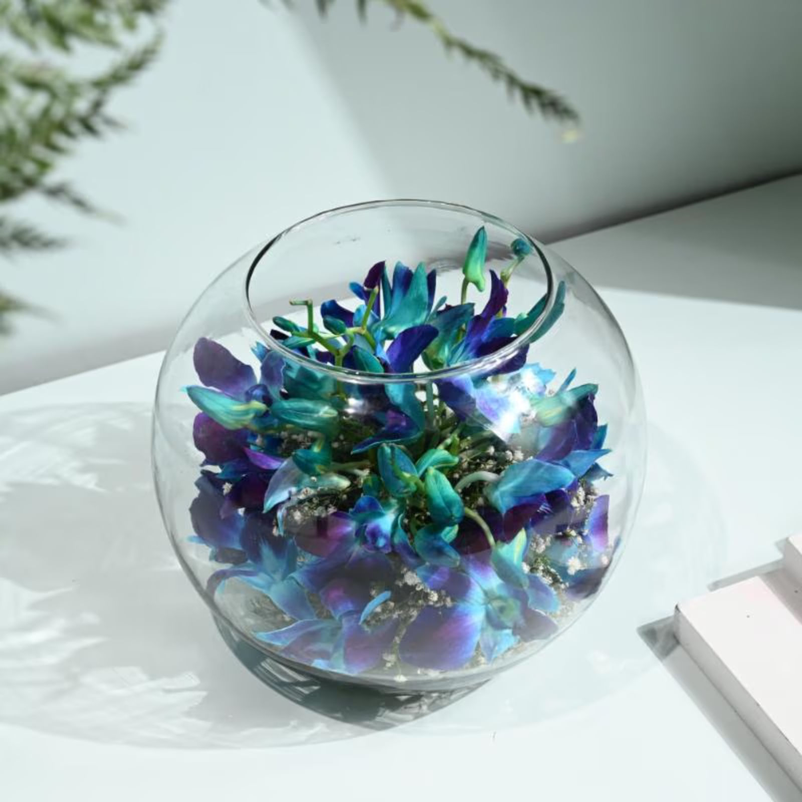 Orchid Bliss In A Fish Bowl - MKTPLC