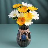 Vibrant Gerbera Medley MKTPLC