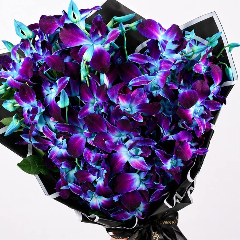 Product Image Video