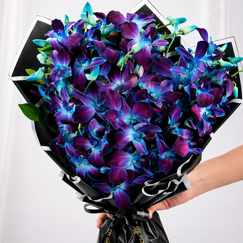 Product Image Video