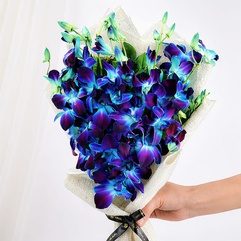 Product Image Video