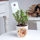 Jade Plant Printed Ceramic Pot