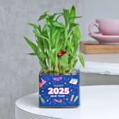 Lucky Bamboo In Printed Vase