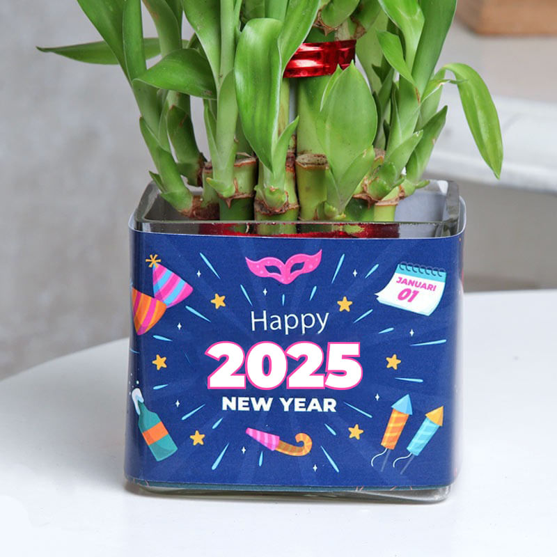 Product Image Video
