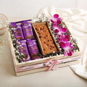 Chocolicious Dry Cake Delight MKTPLC