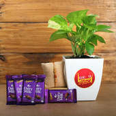 Love Bhaiya Rakhi Plant Chocolate Combo