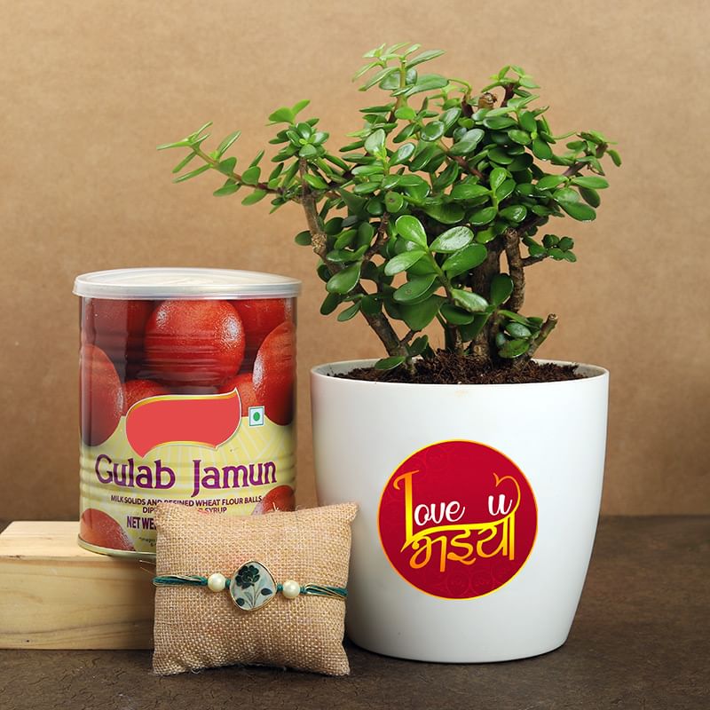 Rudraksha Rakhi With Gulab Jamun N Jade Plant