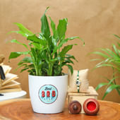 Floral Rakhi With Peace Lily Plant