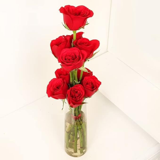 Innocent Red Love - MKTPLC