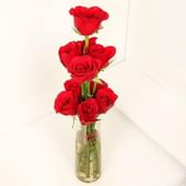 Innocent Red Love - MKTPLC