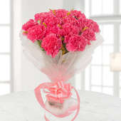 15 Pink carnations