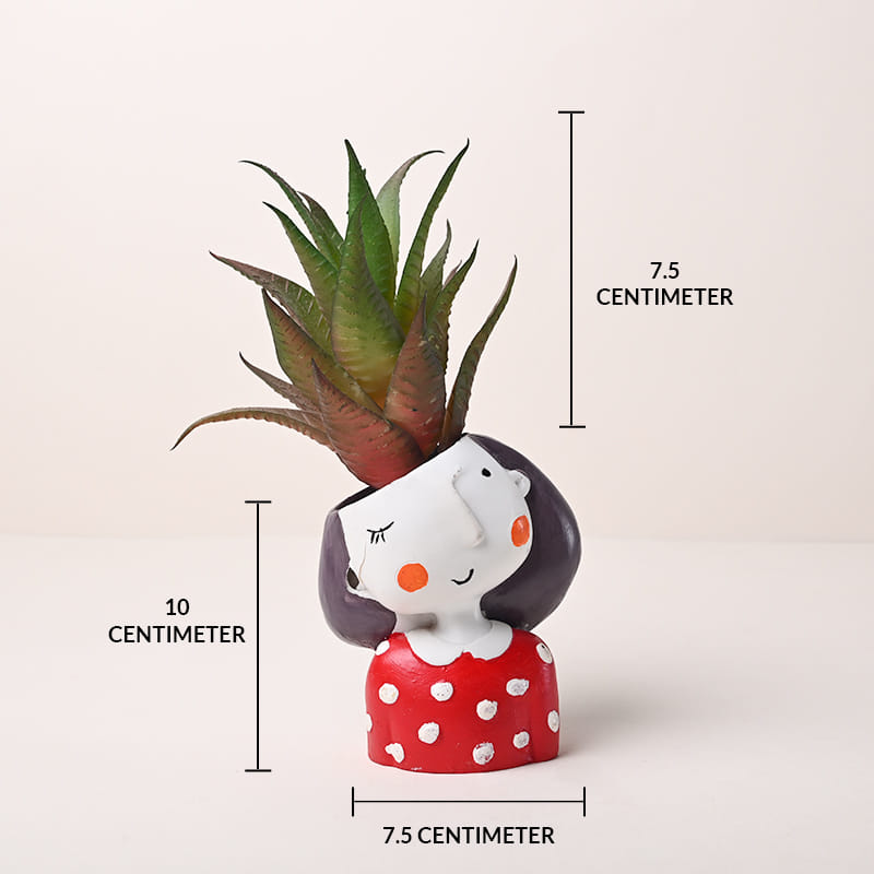 Likelike Artificial Howarthia Duo Plant Online 