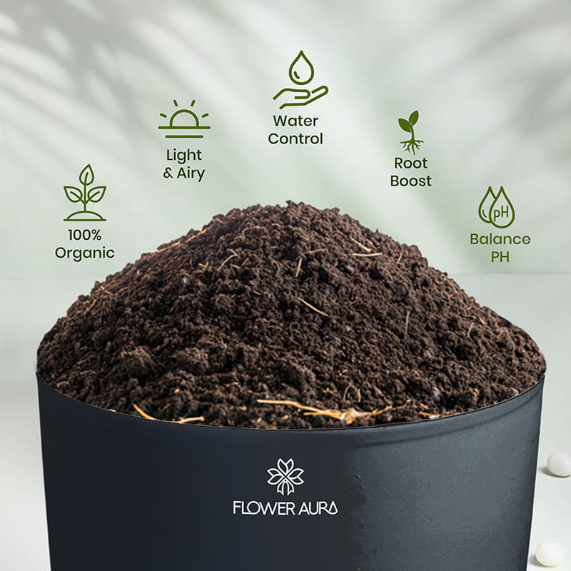 Product Image Video