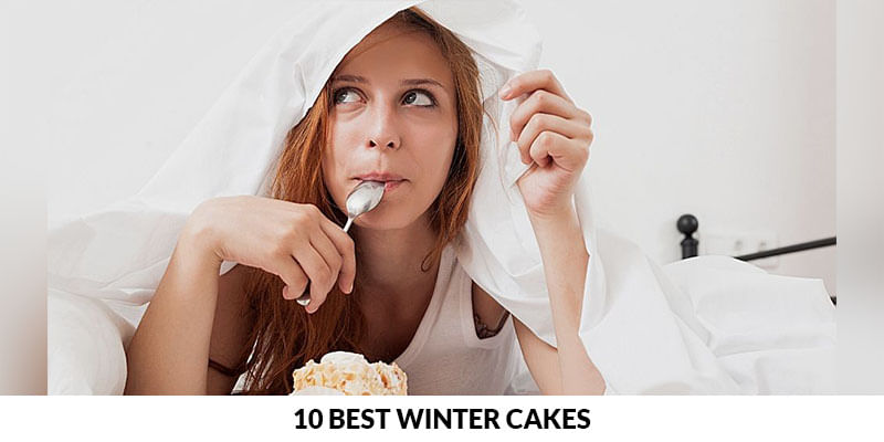 10 Winter Cakes Enough To Spend The Whole Season Happily