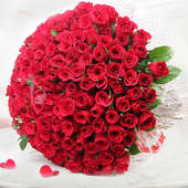 150 Red Roses Bunch with Top View