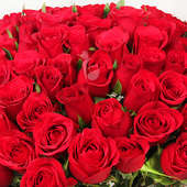 150 Red Roses Bunch with Zoomed View