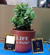 M3M Updated Anniversary Product