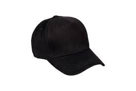Thales India Private Limited Cap