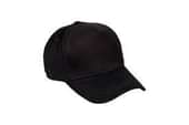 Thales India Private Limited Cap