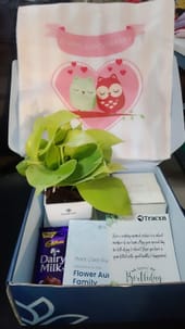 Walter Bushnell Anniversary Hamper