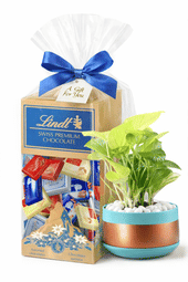 Brevo Hamper