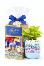Brevo Hamper